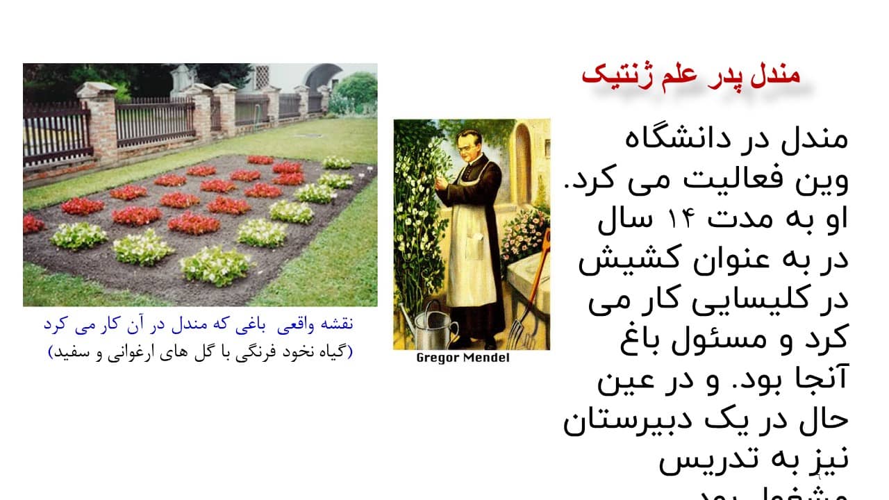 پاورپوینت مفاهیم پایه زیست شناسی دوازدهم
